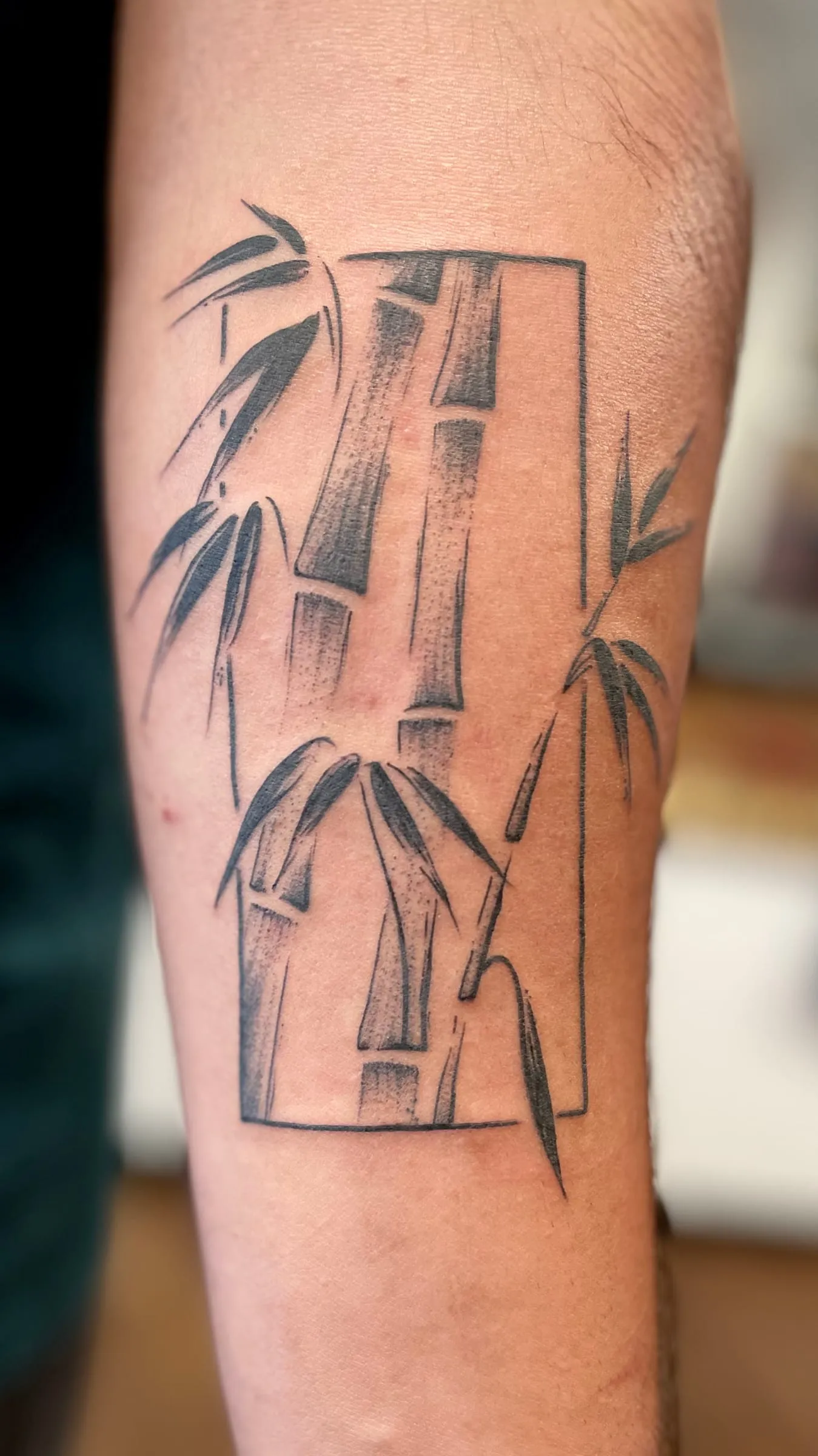 Tattoo of bamboo stalks and leaves inside a rectangular frame, in brushstroke style, on the forearm