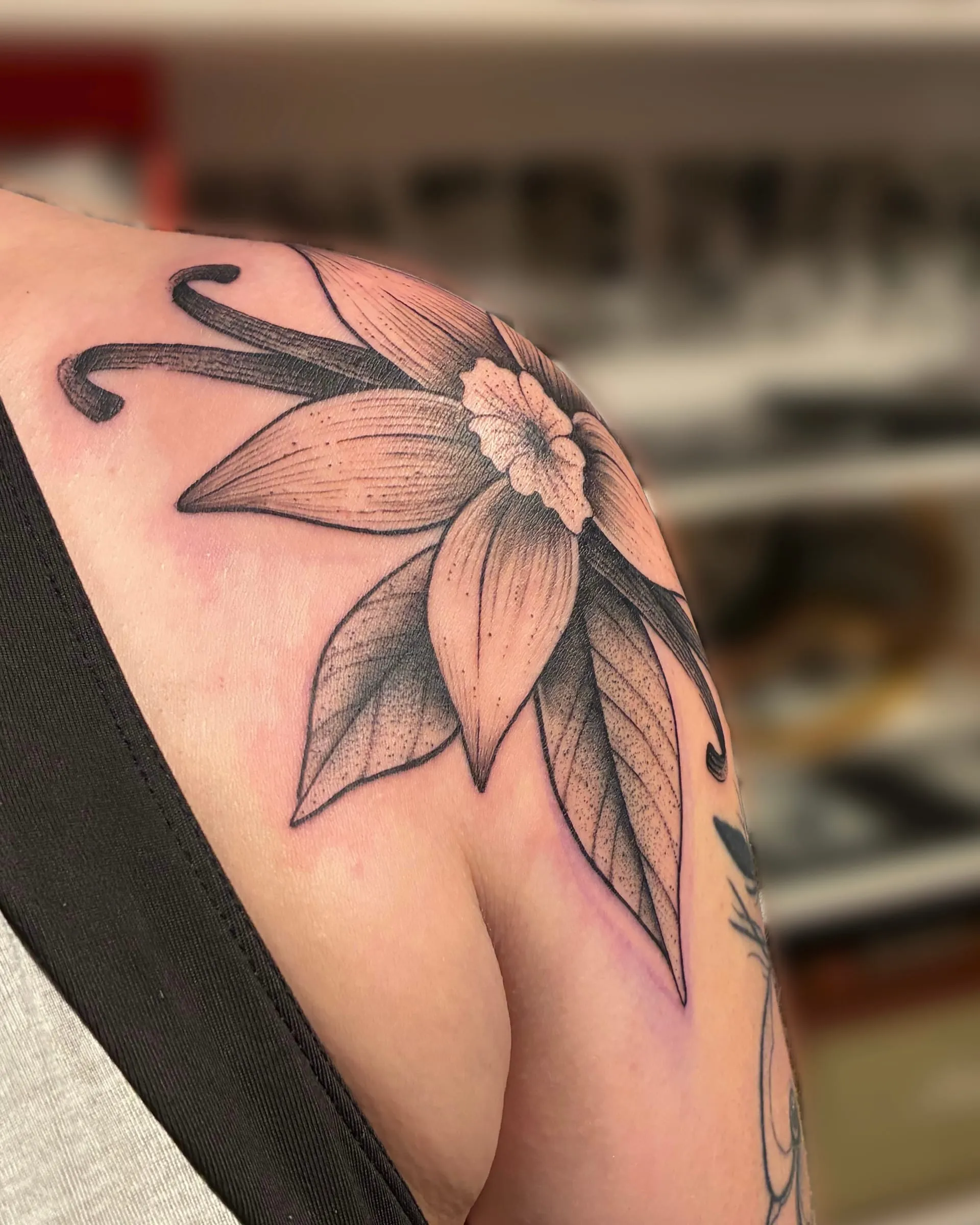 Tatouage fineline en noir et gris d'une fleur de vanille et de ses gousses, sur l'épaule