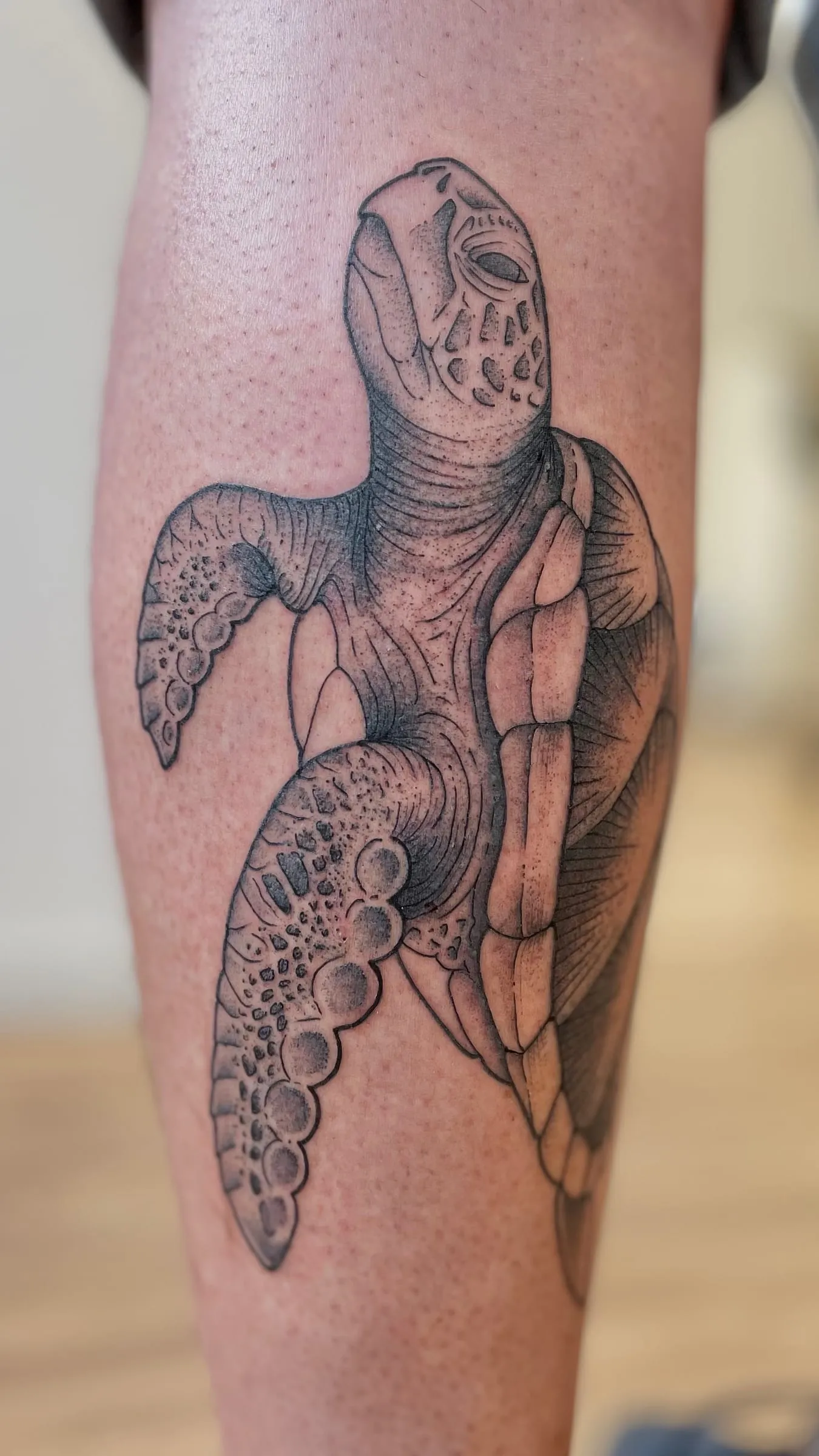 Tatouage en noir et gris d'une tortue marine detaillee, sur le mollet
